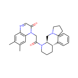 Cc1cc2ncc(=O)n(CC(=O)N3CCC[C@@H](c4ccccc4)[C@@H]3CN3CCCC3)c2cc1C ZINC000029044977