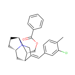 Cc1ccc(/C=C2\CN3[C@H]4CC[C@H]3[C@H](COC(=O)c3ccccc3)[C@H]2C4)cc1Cl ZINC000253697038