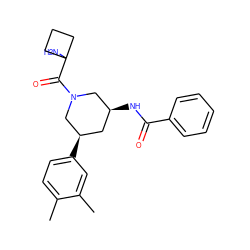 Cc1ccc([C@@H]2C[C@H](NC(=O)c3ccccc3)CN(C(=O)C3(N)CCC3)C2)cc1C ZINC000068246387