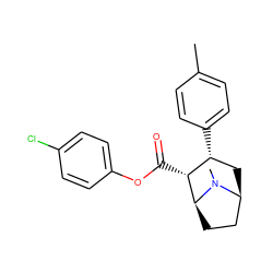 Cc1ccc([C@@H]2C[C@H]3CC[C@@H]([C@@H]2C(=O)Oc2ccc(Cl)cc2)N3C)cc1 ZINC000036271732