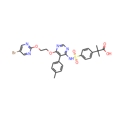 Cc1ccc(-c2c(NS(=O)(=O)c3ccc(C(C)(C)C(=O)O)cc3)ncnc2OCCOc2ncc(Br)cn2)cc1 ZINC000027076519