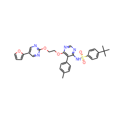 Cc1ccc(-c2c(NS(=O)(=O)c3ccc(C(C)(C)C)cc3)ncnc2OCCOc2ncc(-c3ccco3)cn2)cc1 ZINC000001542084