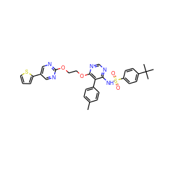 Cc1ccc(-c2c(NS(=O)(=O)c3ccc(C(C)(C)C)cc3)ncnc2OCCOc2ncc(-c3cccs3)cn2)cc1 ZINC000003936233