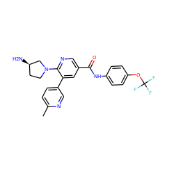 Cc1ccc(-c2cc(C(=O)Nc3ccc(OC(F)(F)F)cc3)cnc2N2CC[C@@H](N)C2)cn1 ZINC001772624885