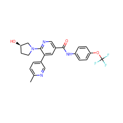 Cc1ccc(-c2cc(C(=O)Nc3ccc(OC(F)(F)F)cc3)cnc2N2CC[C@@H](O)C2)cn1 ZINC001772588287