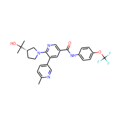 Cc1ccc(-c2cc(C(=O)Nc3ccc(OC(F)(F)F)cc3)cnc2N2CC[C@H](C(C)(C)O)C2)cn1 ZINC001772621733