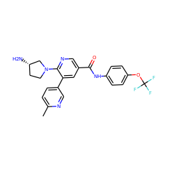 Cc1ccc(-c2cc(C(=O)Nc3ccc(OC(F)(F)F)cc3)cnc2N2CC[C@H](N)C2)cn1 ZINC001772649223