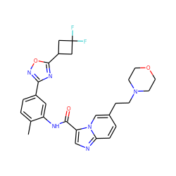 Cc1ccc(-c2noc(C3CC(F)(F)C3)n2)cc1NC(=O)c1cnc2ccc(CCN3CCOCC3)cn12 ZINC000206125616