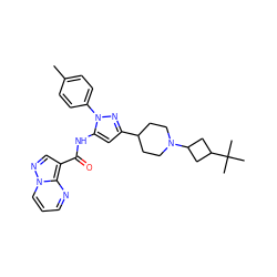 Cc1ccc(-n2nc(C3CCN(C4CC(C(C)(C)C)C4)CC3)cc2NC(=O)c2cnn3cccnc23)cc1 ZINC000145872487