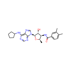 Cc1ccc(C(=O)N[C@H]2[C@@H](C)O[C@@H](n3cnc4c(NC5CCCC5)ncnc43)[C@@H]2O)cc1C ZINC000013473180