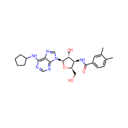 Cc1ccc(C(=O)N[C@H]2[C@@H](CO)O[C@@H](n3cnc4c(NC5CCCC5)ncnc43)[C@@H]2O)cc1C ZINC000004393604