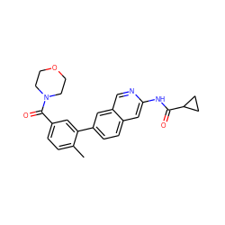 Cc1ccc(C(=O)N2CCOCC2)cc1-c1ccc2cc(NC(=O)C3CC3)ncc2c1 ZINC000169700059