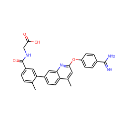 Cc1ccc(C(=O)NCC(=O)O)cc1-c1ccc2c(C)cc(Oc3ccc(C(=N)N)cc3)nc2c1 ZINC000013535227