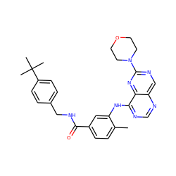 Cc1ccc(C(=O)NCc2ccc(C(C)(C)C)cc2)cc1Nc1ncnc2cnc(N3CCOCC3)nc12 ZINC000148237338