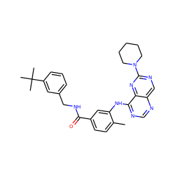 Cc1ccc(C(=O)NCc2cccc(C(C)(C)C)c2)cc1Nc1ncnc2cnc(N3CCCCC3)nc12 ZINC000148239514