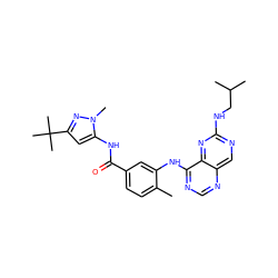 Cc1ccc(C(=O)Nc2cc(C(C)(C)C)nn2C)cc1Nc1ncnc2cnc(NCC(C)C)nc12 ZINC000148327791