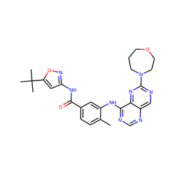 Cc1ccc(C(=O)Nc2cc(C(C)(C)C)on2)cc1Nc1ncnc2cnc(N3CCCOCC3)nc12 ZINC000148265976