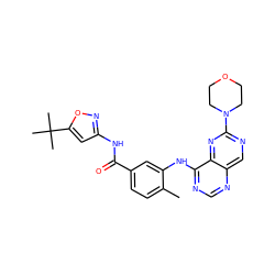 Cc1ccc(C(=O)Nc2cc(C(C)(C)C)on2)cc1Nc1ncnc2cnc(N3CCOCC3)nc12 ZINC000148338761