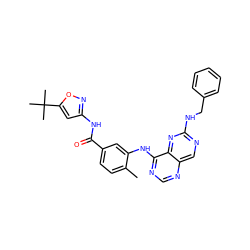 Cc1ccc(C(=O)Nc2cc(C(C)(C)C)on2)cc1Nc1ncnc2cnc(NCc3ccccc3)nc12 ZINC000148340166