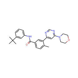 Cc1ccc(C(=O)Nc2cccc(C(C)(C)C)c2)cc1-c1cc(N2CCOCC2)ncn1 ZINC001772642008