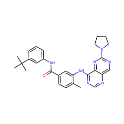 Cc1ccc(C(=O)Nc2cccc(C(C)(C)C)c2)cc1Nc1ncnc2cnc(N3CCCC3)nc12 ZINC000148225184