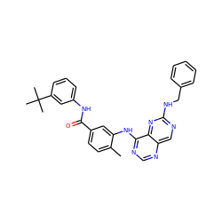 Cc1ccc(C(=O)Nc2cccc(C(C)(C)C)c2)cc1Nc1ncnc2cnc(NCc3ccccc3)nc12 ZINC000148292507