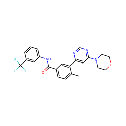 Cc1ccc(C(=O)Nc2cccc(C(F)(F)F)c2)cc1-c1cc(N2CCOCC2)ncn1 ZINC001772623836