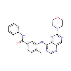 Cc1ccc(C(=O)Nc2ccccc2)cc1Nc1ncnc2cnc(N3CCOCC3)nc12 ZINC000148244907