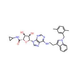 Cc1ccc(C)c(Cn2cc(CCNc3ncnc4c3ncn4[C@@H]3O[C@H](C(=O)NC4CC4)[C@@H](O)[C@H]3O)c3ccccc32)c1 ZINC000012405745