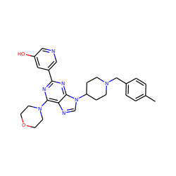 Cc1ccc(CN2CCC(n3cnc4c(N5CCOCC5)nc(-c5cncc(O)c5)nc43)CC2)cc1 ZINC000045388614