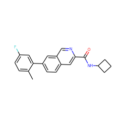 Cc1ccc(F)cc1-c1ccc2cc(C(=O)NC3CCC3)ncc2c1 ZINC000169700064