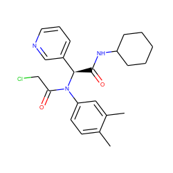 Cc1ccc(N(C(=O)CCl)[C@H](C(=O)NC2CCCCC2)c2cccnc2)cc1C ZINC000017441041