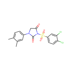 Cc1ccc(N2CC(=O)N(S(=O)(=O)c3ccc(Cl)c(Cl)c3)C2=O)cc1C ZINC000013763640