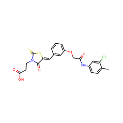 Cc1ccc(NC(=O)COc2cccc(/C=C3\SC(=S)N(CCC(=O)O)C3=O)c2)cc1Cl ZINC000002648307