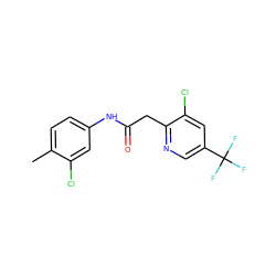 Cc1ccc(NC(=O)Cc2ncc(C(F)(F)F)cc2Cl)cc1Cl ZINC000001383803