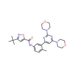 Cc1ccc(NC(=O)c2cc(C(C)(C)C)no2)cc1-c1cc(N2CCOCC2)nc(N2CCOCC2)n1 ZINC000220481368