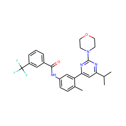 Cc1ccc(NC(=O)c2cccc(C(F)(F)F)c2)cc1-c1cc(C(C)C)nc(N2CCOCC2)n1 ZINC000220540862