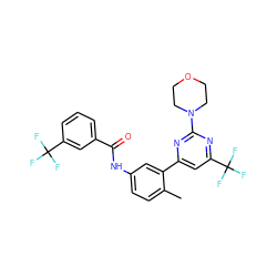 Cc1ccc(NC(=O)c2cccc(C(F)(F)F)c2)cc1-c1cc(C(F)(F)F)nc(N2CCOCC2)n1 ZINC000220582108