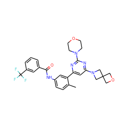 Cc1ccc(NC(=O)c2cccc(C(F)(F)F)c2)cc1-c1cc(N2CC3(COC3)C2)nc(N2CCOCC2)n1 ZINC000220541058