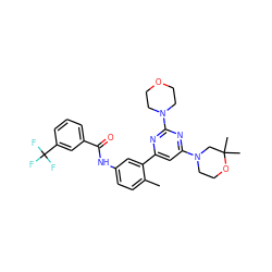 Cc1ccc(NC(=O)c2cccc(C(F)(F)F)c2)cc1-c1cc(N2CCOC(C)(C)C2)nc(N2CCOCC2)n1 ZINC000220540964