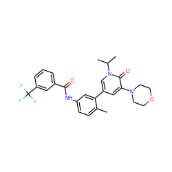 Cc1ccc(NC(=O)c2cccc(C(F)(F)F)c2)cc1-c1cc(N2CCOCC2)c(=O)n(C(C)C)c1 ZINC000225976449