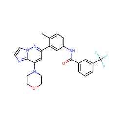 Cc1ccc(NC(=O)c2cccc(C(F)(F)F)c2)cc1-c1cc(N2CCOCC2)c2nccn2n1 ZINC000220740066