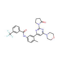 Cc1ccc(NC(=O)c2cccc(C(F)(F)F)c2)cc1-c1cc(N2CCOCC2)nc(N2CCCC2=O)n1 ZINC000220519975