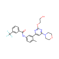 Cc1ccc(NC(=O)c2cccc(C(F)(F)F)c2)cc1-c1cc(N2CCOCC2)nc(OCCO)n1 ZINC000220519796