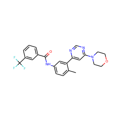 Cc1ccc(NC(=O)c2cccc(C(F)(F)F)c2)cc1-c1cc(N2CCOCC2)ncn1 ZINC000221399239