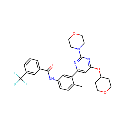 Cc1ccc(NC(=O)c2cccc(C(F)(F)F)c2)cc1-c1cc(OC2CCOCC2)nc(N2CCOCC2)n1 ZINC000220561748