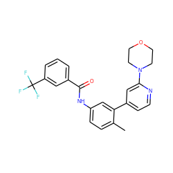 Cc1ccc(NC(=O)c2cccc(C(F)(F)F)c2)cc1-c1ccnc(N2CCOCC2)c1 ZINC000220602545