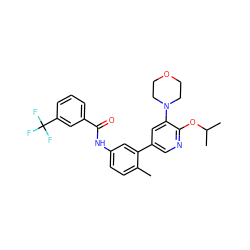 Cc1ccc(NC(=O)c2cccc(C(F)(F)F)c2)cc1-c1cnc(OC(C)C)c(N2CCOCC2)c1 ZINC000225992893