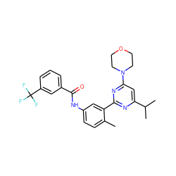 Cc1ccc(NC(=O)c2cccc(C(F)(F)F)c2)cc1-c1nc(C(C)C)cc(N2CCOCC2)n1 ZINC000220540761