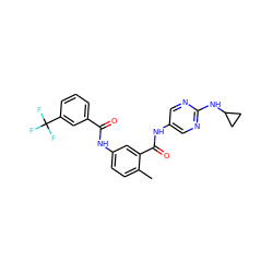 Cc1ccc(NC(=O)c2cccc(C(F)(F)F)c2)cc1C(=O)Nc1cnc(NC2CC2)nc1 ZINC000169352881